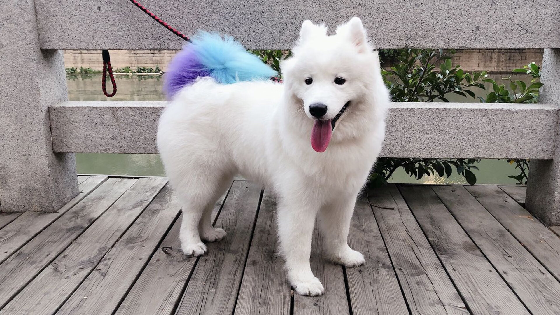 开云体育直播-维尼修斯压哨绝杀！曼联客场险胜土耳其，巴西新星一战封神